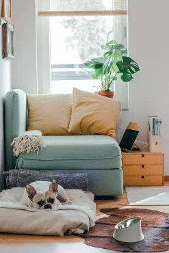 Alessi Wowl Hondenvoerbak 0,5L Grijs -Meubelwinkel x886x886 alessi wowl hondenvoerbak 0 5l2.jpg.pagespeed.ic .x3UruN3XMX