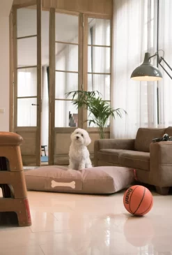 Fatboy Doggielounge Stonewashed Hondenkussen Small Zwart -Meubelwinkel x886x886 fatboy doggielounge hondenzitzak15.jpg.pagespeed.ic .HSCnCvjC7F