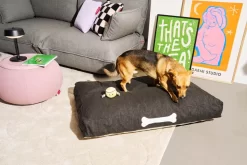 Fatboy Doggielounge Olefin Hondenkussen Large Thunder Grey -Meubelwinkel x886x886 fatboy doggielounge olefin hondenkussen large.jpg.pagespeed.ic .AVbvyRuJKk 3