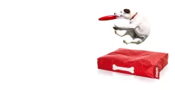 Fatboy Doggielounge Stonewashed Hondenkussen Small Taupe 26 Fatboy Doggielounge Stonewashed Hondenkussen Small Taupe -Meubelwinkel x886x886 fatboy doggielounge stonewashed hondenzitzak4.jpg.pagespeed.ic .3NE9907kU4 1