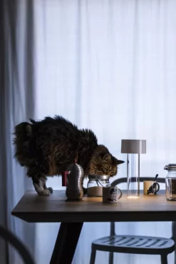 Foscarini Fleur Tafellamp LED Burgundy -Meubelwinkel x886x886 foscarini fleur tafellamp led3.jpg.pagespeed.ic .5ic3EsbWSU