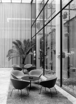 Fritz Hansen Pot Fauteuil Chrome Grace Walnut -Meubelwinkel x886x886 fritz hansen pot fauteuil black31.jpg.pagespeed.ic .Ij50bqvsla