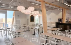 Kartell Bloom New Hanglamp Small Munt -Meubelwinkel x886x886 kartell masters stoel sfeer 3 1.jpg.pagespeed.ic . szysxt dH