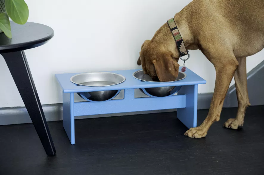 Loll Designs Minimalist Hondenvoerbak Small Leaf Gree 9 Loll Designs Minimalist Hondenvoerbak Small Leaf Gree - Afbeelding 9