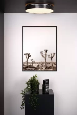 Lucide Malin Plafondlamp Ø39 LED Zwart 14 Lucide Malin Plafondlamp Ø39 LED Zwart -Meubelwinkel x886x886 lucide malin plafondlamp led15.jpg.pagespeed.ic .HoQU0SXE0Q