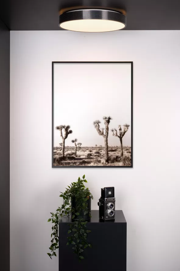 Lucide Malin Plafondlamp Ø39 LED Zwart 5 Lucide Malin Plafondlamp Ø39 LED Zwart - Afbeelding 5