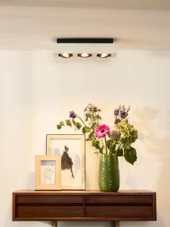 Lucide Xirax 3 Spot Dim To Warm Wit -Meubelwinkel x886x886 lucide xirax plafondspot 3 dim to warm10.jpg.pagespeed.ic .nXrYjDEpof