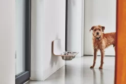 MiaCara Arco Hondenvoerbak Wand Small/medium Wit -Meubelwinkel x886x886 miacara arco hondenvoerbak wand3.jpg.pagespeed.ic .ybd NyJ9nh 1