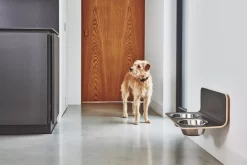 MiaCara Arco Hondenvoerbak Wand Small/medium Grijs -Meubelwinkel x886x886 miacara arco hondenvoerbak wand4.jpg.pagespeed.ic .9DwEL37U2