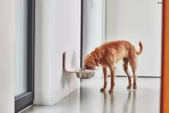 MiaCara Arco Hondenvoerbak Wand Small/medium Wit -Meubelwinkel x886x886 miacara arco hondenvoerbak wand7.jpg.pagespeed.ic .jXKAlx6rHo 1