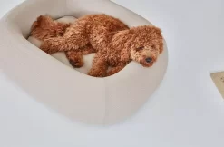 MiaCara Barca Hondenmand Medium/large Slate -Meubelwinkel x886x886 miacara barca hondenmand medium large10.jpg.pagespeed.ic .m4eD0mqXDB