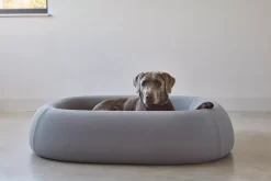 MiaCara Barca Hondenmand Medium/large Slate -Meubelwinkel x886x886 miacara barca hondenmand medium large5.jpg.pagespeed.ic .kDtXeZO1NZ