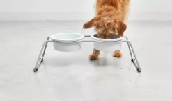 MiaCara Cena Hondenvoerbak Porselein Medium 7 MiaCara Cena Hondenvoerbak Porselein Medium -Meubelwinkel x886x886 miacara cena hondenvoerbak porselein medium1.jpg.pagespeed.ic .olZUFGjpni