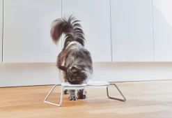 MiaCara Cena Kattenvoerbak Porselein 5 MiaCara Cena Kattenvoerbak Porselein -Meubelwinkel x886x886 miacara cena kattenvoerbak porselein1.jpg.pagespeed.ic .x3 kmZHepR