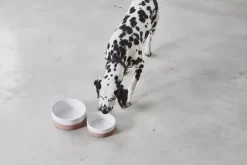 MiaCara Coppa Hondenvoerbak Small/medium Ø17.5 Nude -Meubelwinkel x886x886 miacara coppa hondenvoerbak medium large3.jpg.pagespeed.ic .nO3WWk0rX6 1