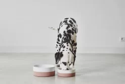 MiaCara Coppa Hondenvoerbak Medium/large Ø21.5 Slate -Meubelwinkel x886x886 miacara coppa hondenvoerbak medium large4.jpg.pagespeed.ic .aqLXs 1BYX