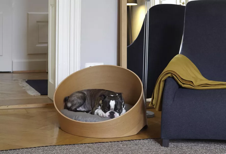 MiaCara Covo Hondenmand Ø60 Essen, Kussen Ivory 6 MiaCara Covo Hondenmand Ø60 Essen, Kussen Ivory - Afbeelding 6