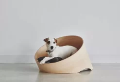 MiaCara Covo Hondenmand Ø60 Essen, Kussen Ivory 11 MiaCara Covo Hondenmand Ø60 Essen, Kussen Ivory -Meubelwinkel x886x886 miacara covo hondenmand small3.jpg.pagespeed.ic .0HXNMHrivb