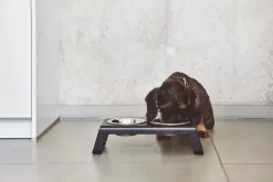 MiaCara Desco Hondenvoerbak Medium Aluminium Zwart -Meubelwinkel x886x886 miacara desco hondenvoerbak medium22.jpg.pagespeed.ic .fb36z3ar8a 4