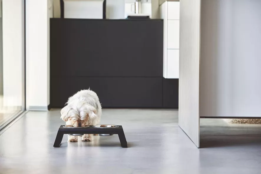 MiaCara Desco Hondenvoerbak Medium Walnoot 4 MiaCara Desco Hondenvoerbak Medium Walnoot - Afbeelding 4