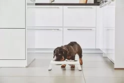 MiaCara Desco Hondenvoerbak Medium Aluminium Grijs -Meubelwinkel x886x886 miacara desco hondenvoerbak medium24.jpg.pagespeed.ic .aUY84Z4sB 2