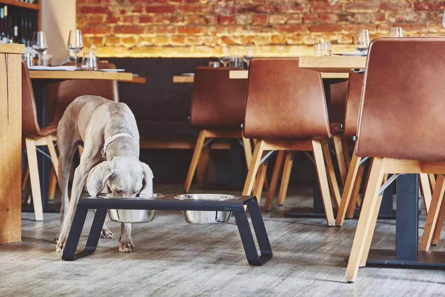 MiaCara Desco Hondenvoerbak Medium Walnoot 6 MiaCara Desco Hondenvoerbak Medium Walnoot - Afbeelding 6