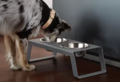 MiaCara Desco Hondenvoerbak Medium Walnoot 27 MiaCara Desco Hondenvoerbak Medium Walnoot -Meubelwinkel x886x886 miacara desco hondenvoerbak medium30.jpg.pagespeed.ic .hO8vdqdI84 3