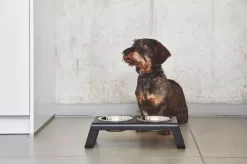 MiaCara Desco Hondenvoerbak Small Essen Zwart -Meubelwinkel x886x886 miacara desco hondenvoerbak medium34.jpg.pagespeed.ic .1Ds QXa7yc 3