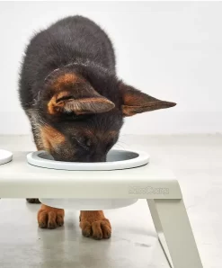 MiaCara Desco Hondenvoerbak Porselein Small Essen -Meubelwinkel x886x886 miacara desco hondenvoerbak porselein small10.jpg.pagespeed.ic .AMcJWS1AjF