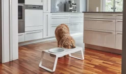 MiaCara Desco Hondenvoerbak Porselein Medium Zwart -Meubelwinkel x886x886 miacara desco hondenvoerbak porselein small11.jpg.pagespeed.ic .hjPOMS Fdl 3