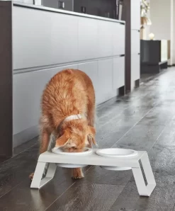 MiaCara Desco Hondenvoerbak Porselein Medium Zwart -Meubelwinkel x886x886 miacara desco hondenvoerbak porselein small13.jpg.pagespeed.ic .oUbyeaamyF 3