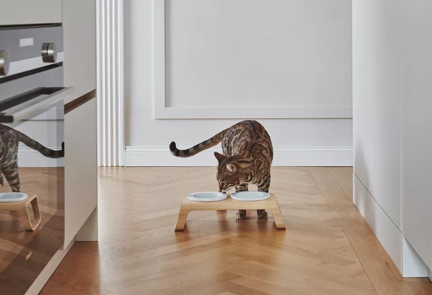 MiaCara Desco Kattenvoerbak Porselein Essen Grijs 2 MiaCara Desco Kattenvoerbak Porselein Essen Grijs - Afbeelding 2