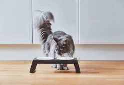 MiaCara Desco Kattenvoerbak Porselein Wit -Meubelwinkel x886x886 miacara desco kattenvoerbak porselein9.jpg.pagespeed.ic .HZkilIVJP9