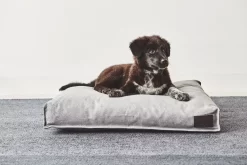 MiaCara Divo Hondenkussen Medium Pebble -Meubelwinkel x886x886 miacara divo hondenkussen small.jpg.pagespeed.ic .VE 6keVMre