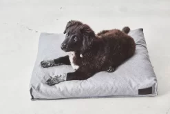 MiaCara Divo Hondenkussen Medium Pebble -Meubelwinkel x886x886 miacara divo hondenkussen small1.jpg.pagespeed.ic .YQ89j5Z2A8