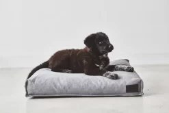 MiaCara Divo Hondenkussen Medium Pebble -Meubelwinkel x886x886 miacara divo hondenkussen small2.jpg.pagespeed.ic .S5alnara7G