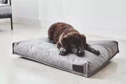 MiaCara Divo Hondenkussen Small Pebble -Meubelwinkel x886x886 miacara divo hondenkussen small3.jpg.pagespeed.ic .h9QXAPk FZ 1