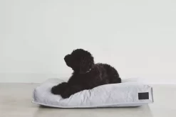 MiaCara Divo Hondenkussen Medium Pebble -Meubelwinkel x886x886 miacara divo hondenkussen small5.jpg.pagespeed.ic .sUtZW6R9mS