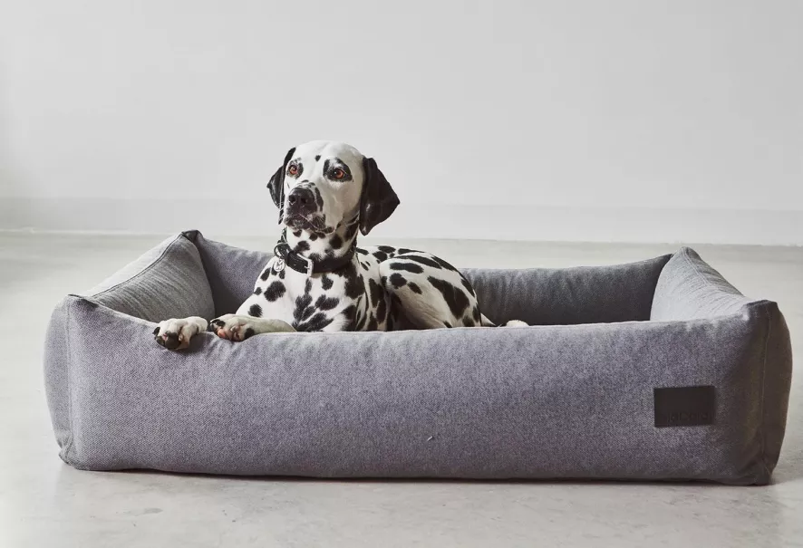 MiaCara Divo Hondenmand Small Slate 3 MiaCara Divo Hondenmand Small Slate - Afbeelding 3