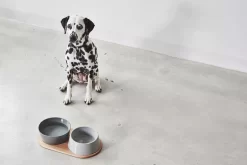 MiaCara Doppio Hondenvoerbak Small Berry -Meubelwinkel x886x886 miacara doppio hondenvoerbak met blad small2.jpg.pagespeed.ic .tUs uRjTaH 2