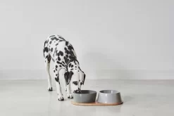 MiaCara Doppio Hondenvoerbak Medium Pine 18 MiaCara Doppio Hondenvoerbak Medium Pine -Meubelwinkel x886x886 miacara doppio hondenvoerbak met blad small4.jpg.pagespeed.ic .k5EHvUDsAI