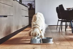 MiaCara Doppio Hondenvoerbak Small Berry -Meubelwinkel x886x886 miacara doppio hondenvoerbak met blad small5.jpg.pagespeed.ic .HcMPezkce3 2