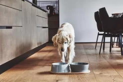 MiaCara Doppio Hondenvoerbak Medium Pine 14 MiaCara Doppio Hondenvoerbak Medium Pine -Meubelwinkel x886x886 miacara doppio hondenvoerbak met blad small6.jpg.pagespeed.ic .VrybShbAqK