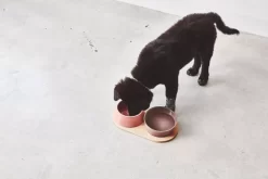 MiaCara Doppio Hondenvoerbak Medium Pine 15 MiaCara Doppio Hondenvoerbak Medium Pine -Meubelwinkel x886x886 miacara doppio hondenvoerbak met blad small7.jpg.pagespeed.ic .PAdqRx0uvZ