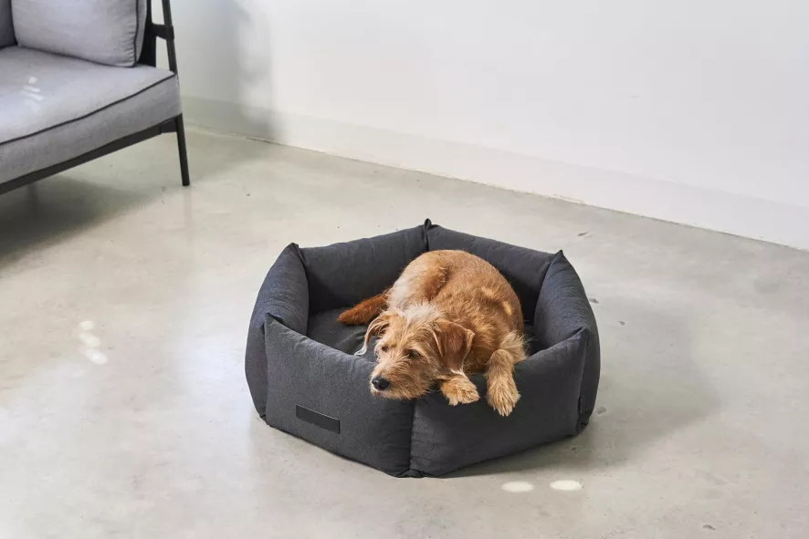 MiaCara Felice Hondenmand Ø60 Small Anthracite 6 MiaCara Felice Hondenmand Ø60 Small Anthracite - Afbeelding 6