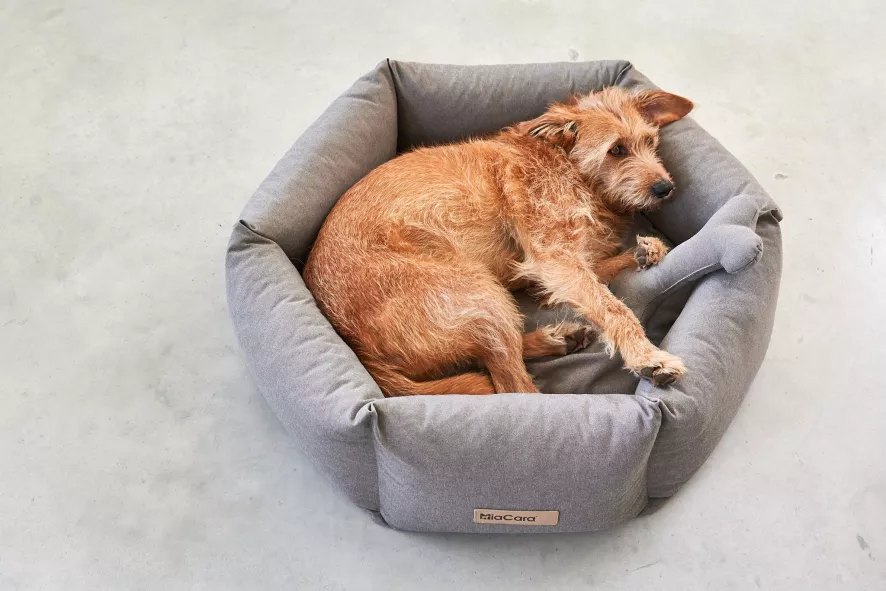 MiaCara Felice Hondenmand Ø60 Small Anthracite 5 MiaCara Felice Hondenmand Ø60 Small Anthracite - Afbeelding 5