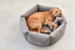 MiaCara Felice Hondenmand Ø60 Small Anthracite 17 MiaCara Felice Hondenmand Ø60 Small Anthracite -Meubelwinkel x886x886 miacara felice hondenmand large4.jpg.pagespeed.ic .1YkWjr7xok