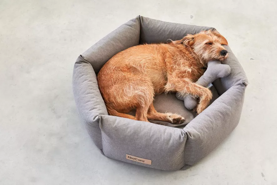 MiaCara Felice Hondenmand Ø60 Small Anthracite 8 MiaCara Felice Hondenmand Ø60 Small Anthracite - Afbeelding 8