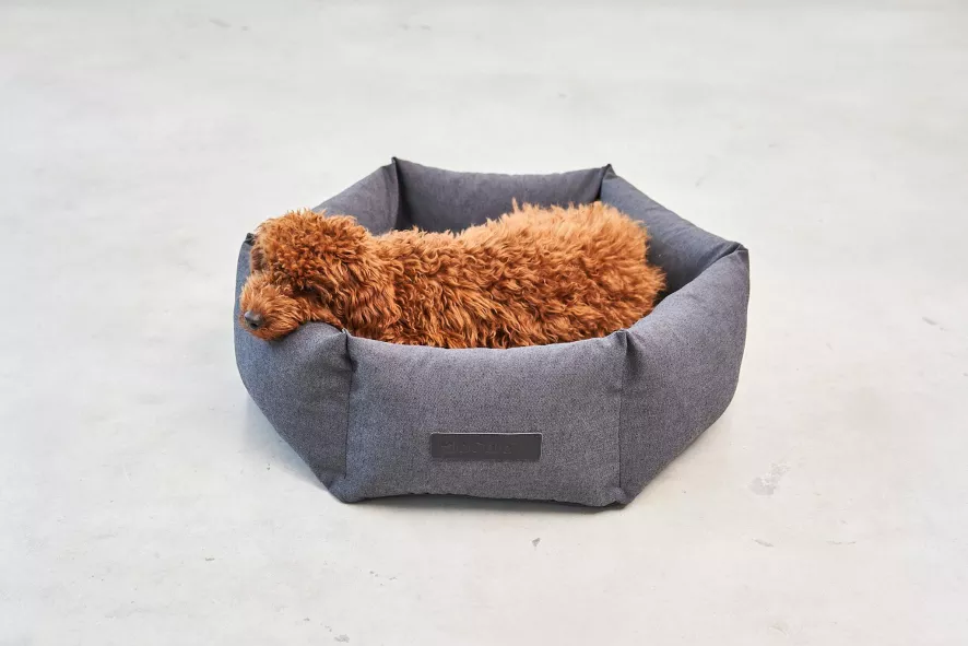 MiaCara Felice Hondenmand Ø60 Small Anthracite 9 MiaCara Felice Hondenmand Ø60 Small Anthracite - Afbeelding 9