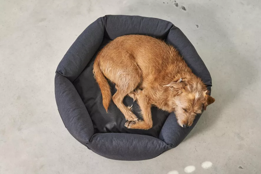 MiaCara Felice Hondenmand Ø60 Small Anthracite 2 MiaCara Felice Hondenmand Ø60 Small Anthracite - Afbeelding 2